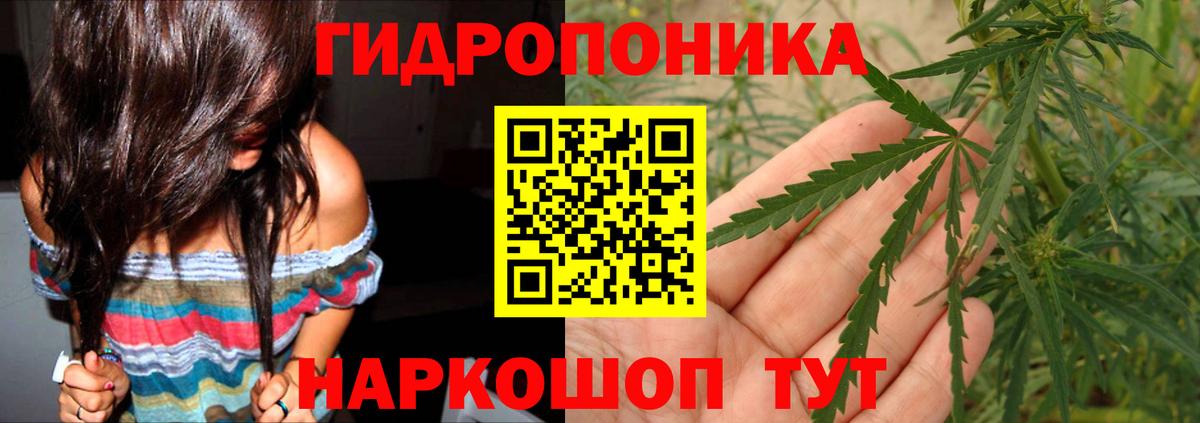 Конопля марихуана  Каннабис марихуана  Вход с VPN  Муром  Шишки марихуана VHQ 
